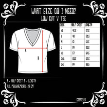 Load image into Gallery viewer, Boo-tanicals Low V Boxy Tee