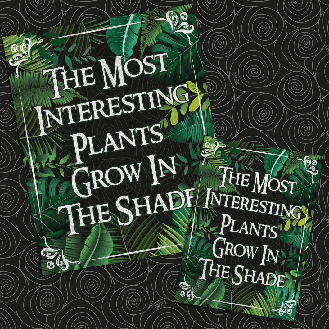 The Most Interesting Plants Grow In The Shade